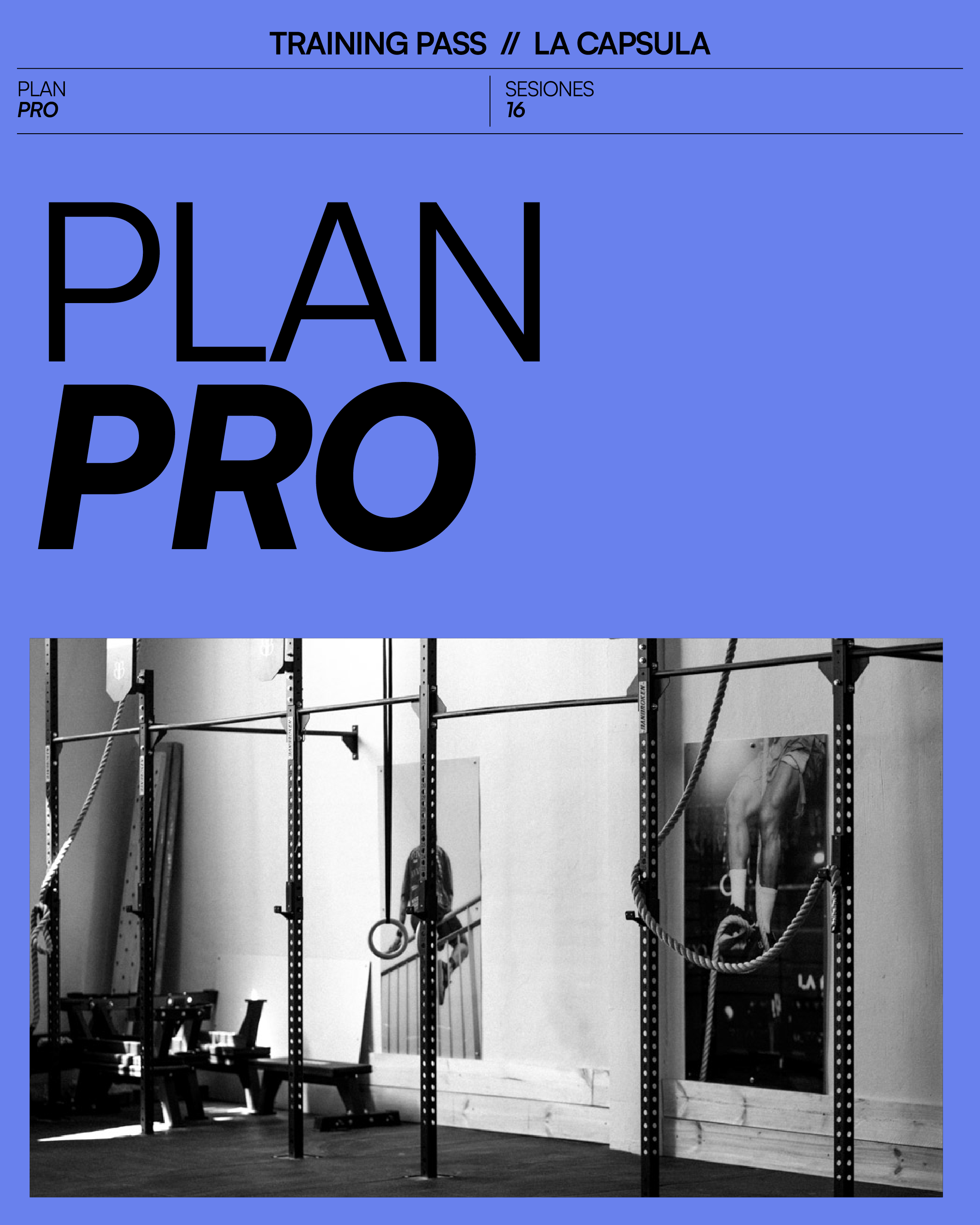 Plan Pro 16 sesiones