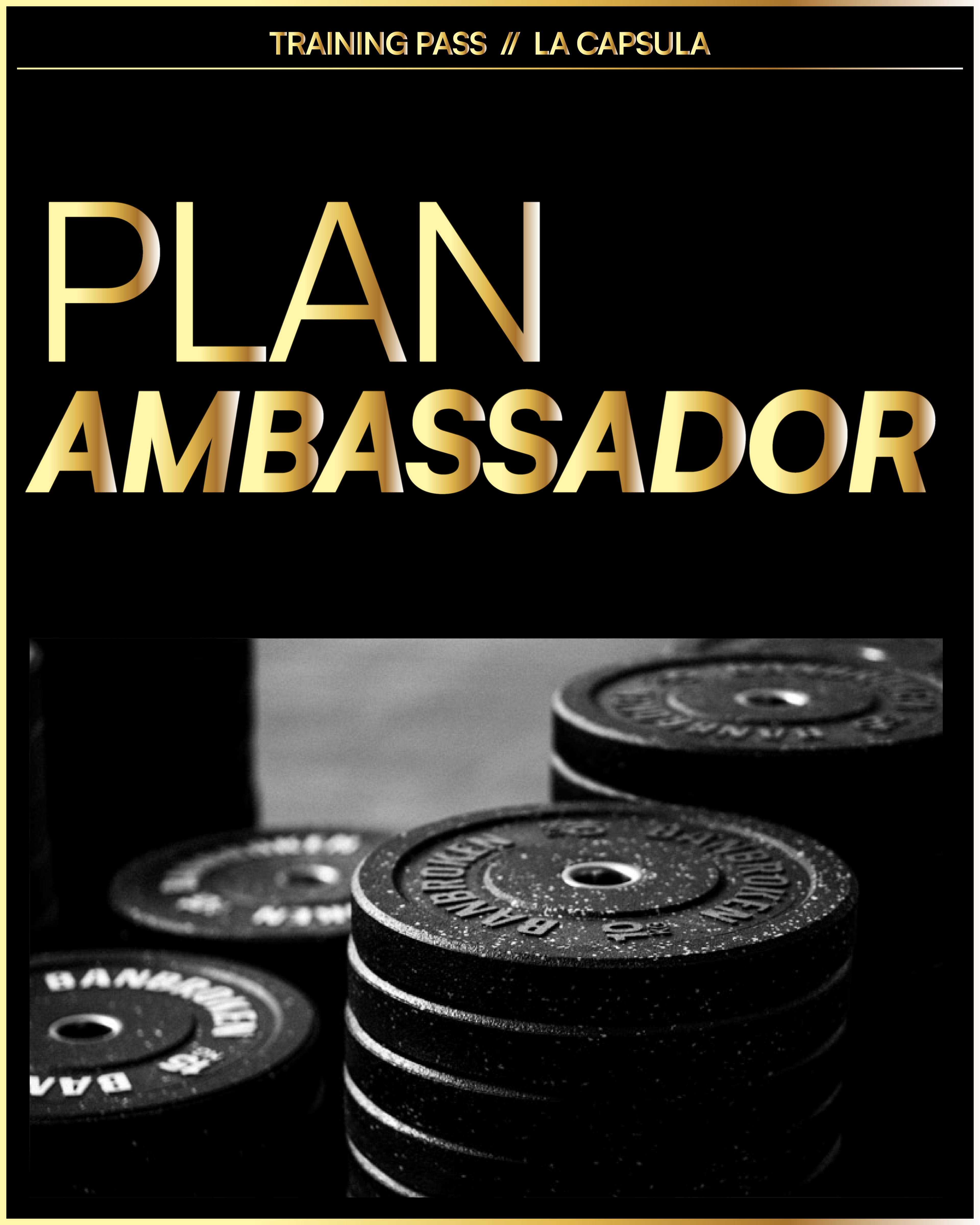 Plan Ambassador
